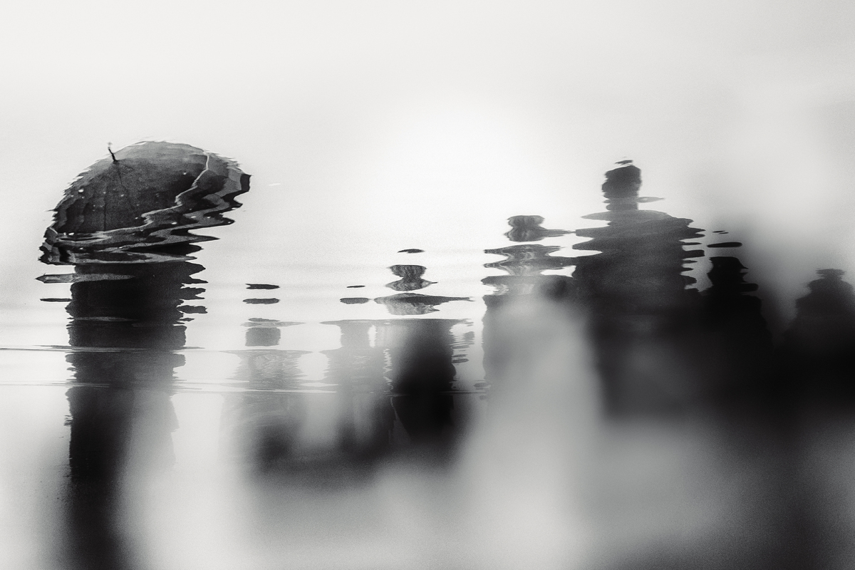 All The Fading Words