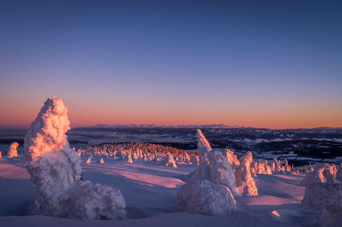 Winter Scupltures