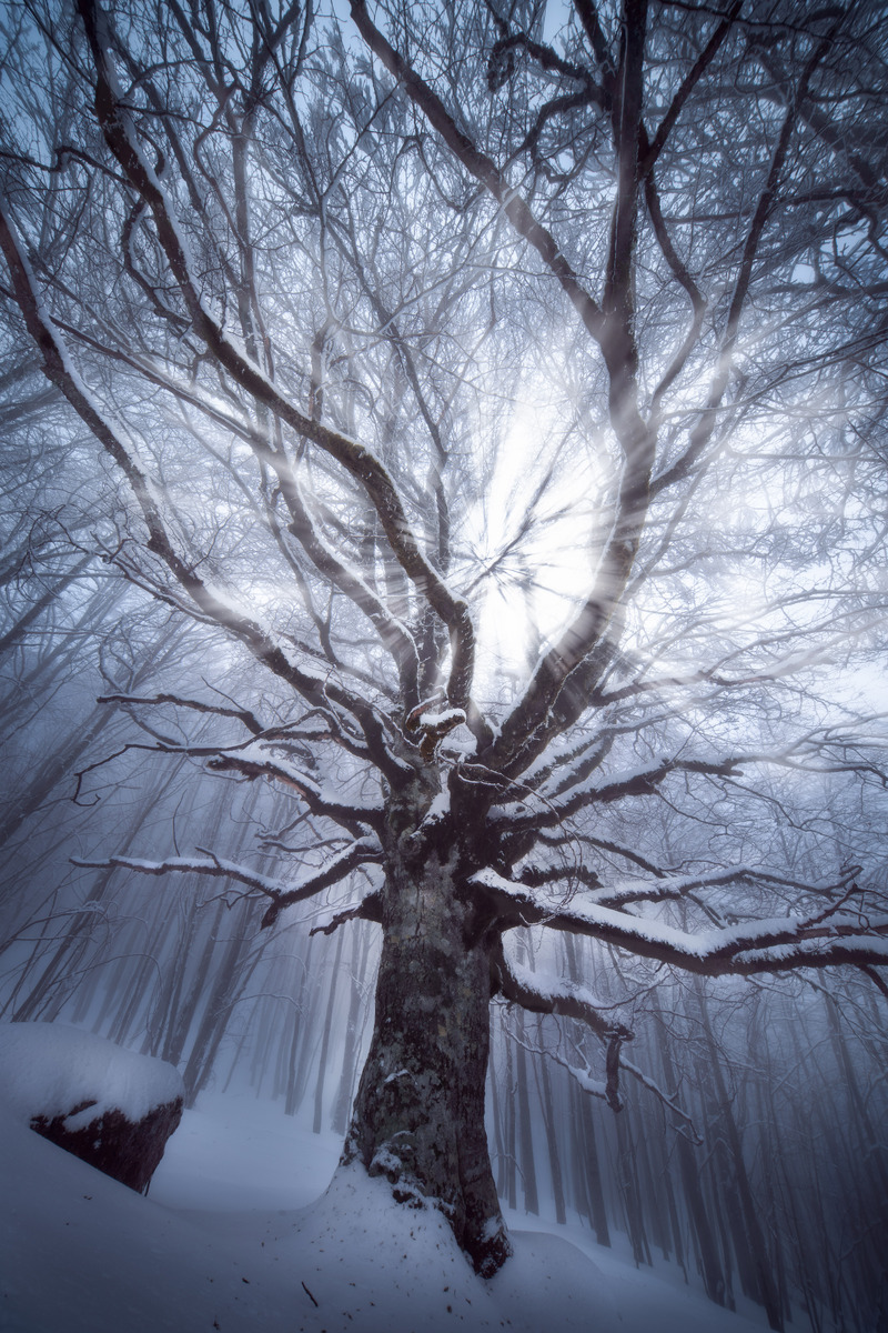 invisible stillness