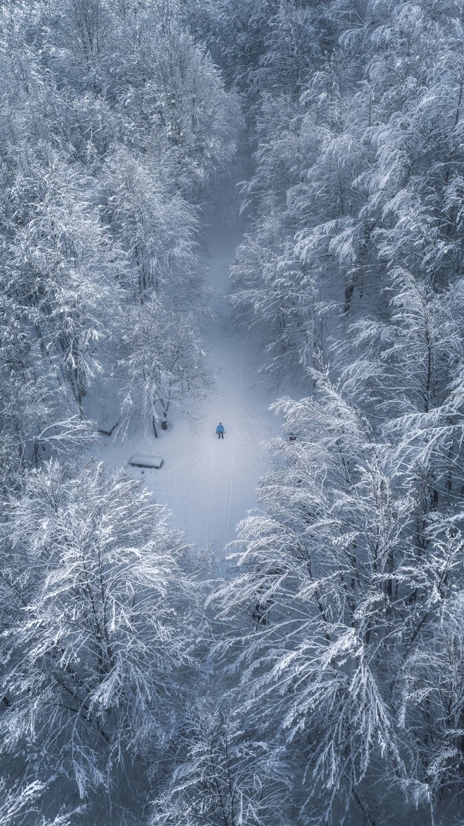 invisible stillness