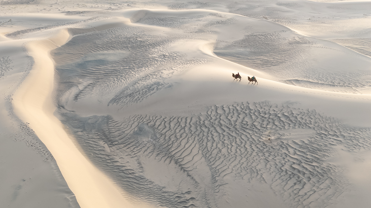 Footprints in the endless dunes