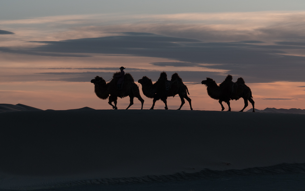 Footprints in the endless dunes