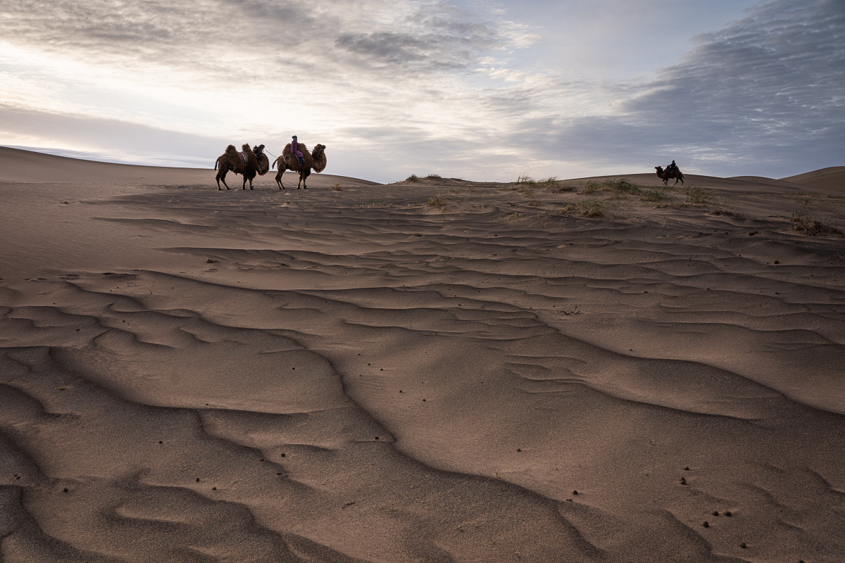 Footprints in the endless dunes