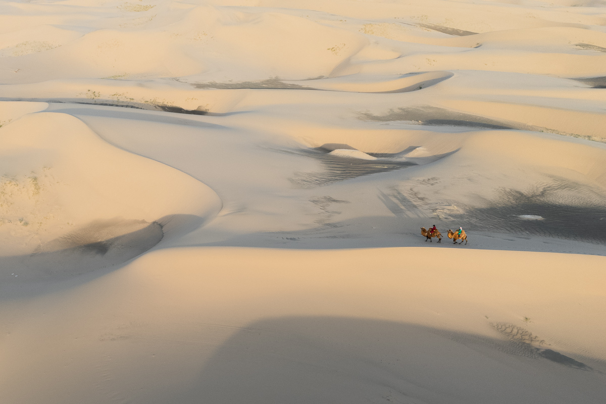 Footprints in the endless dunes