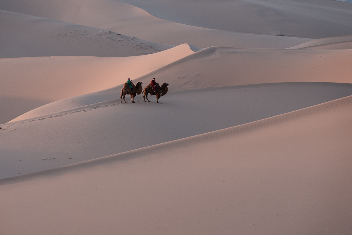 Footprints in the endless dunes