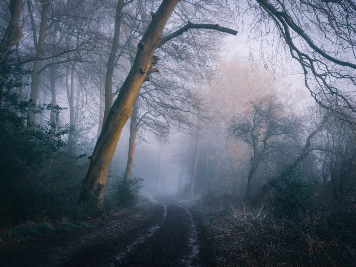 Ancient Path