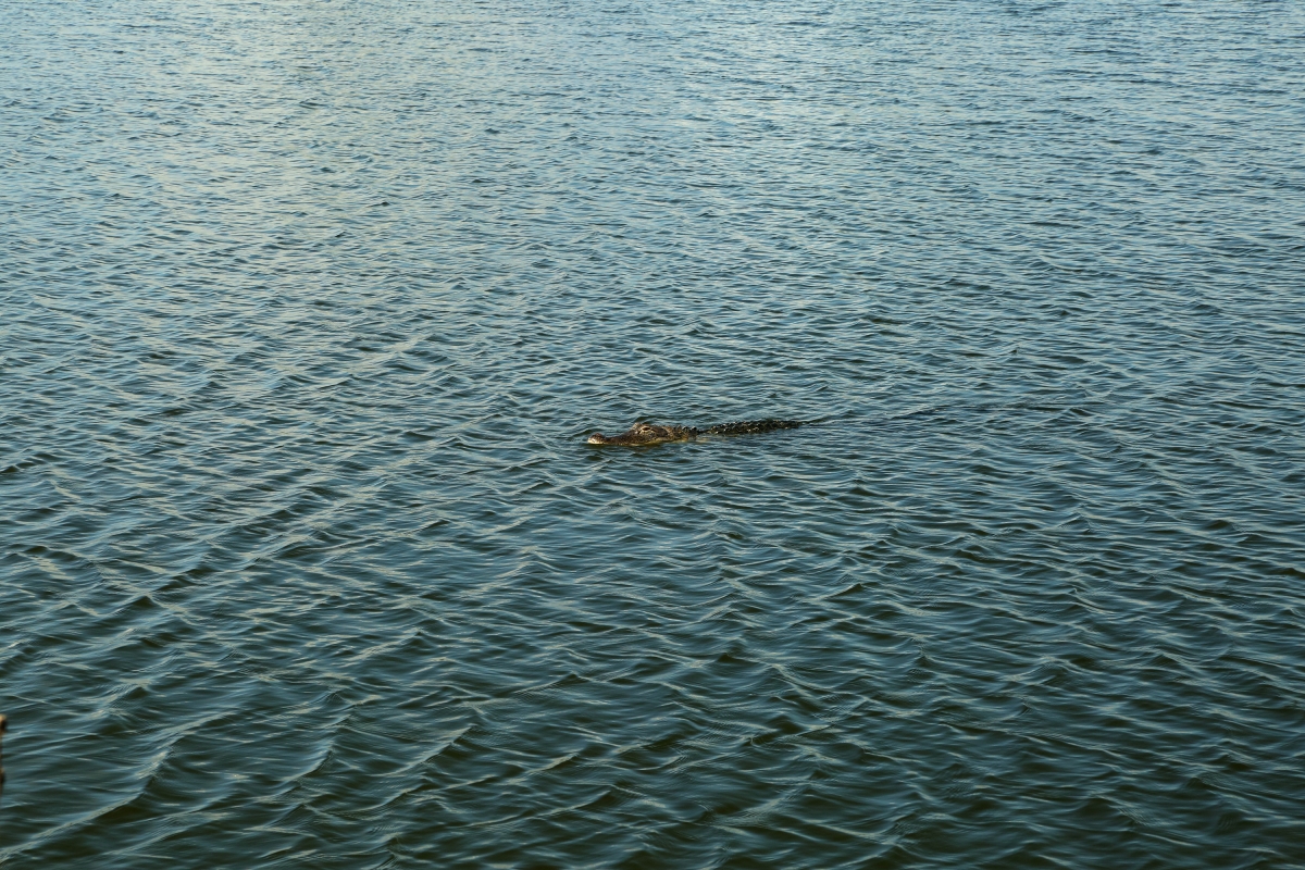 Indian River Lagoon Connected