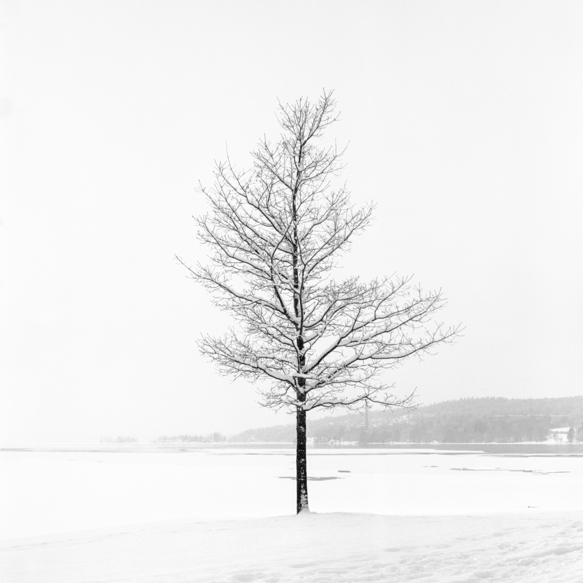 January Saturday