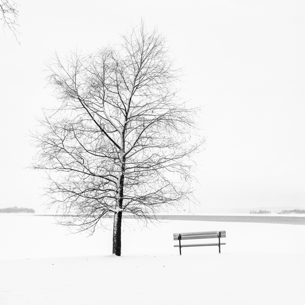 January Saturday