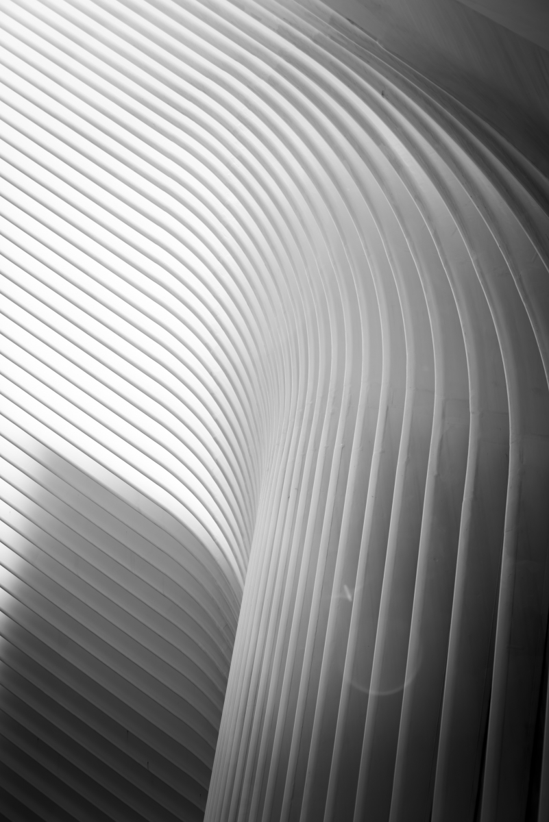 Organic Architecture