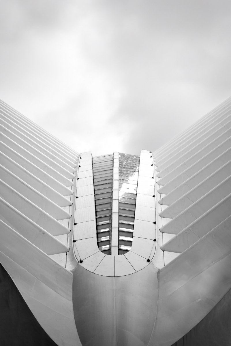 Organic Architecture