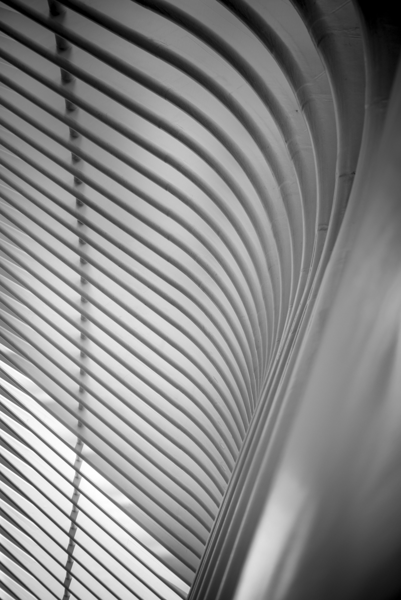 Organic Architecture