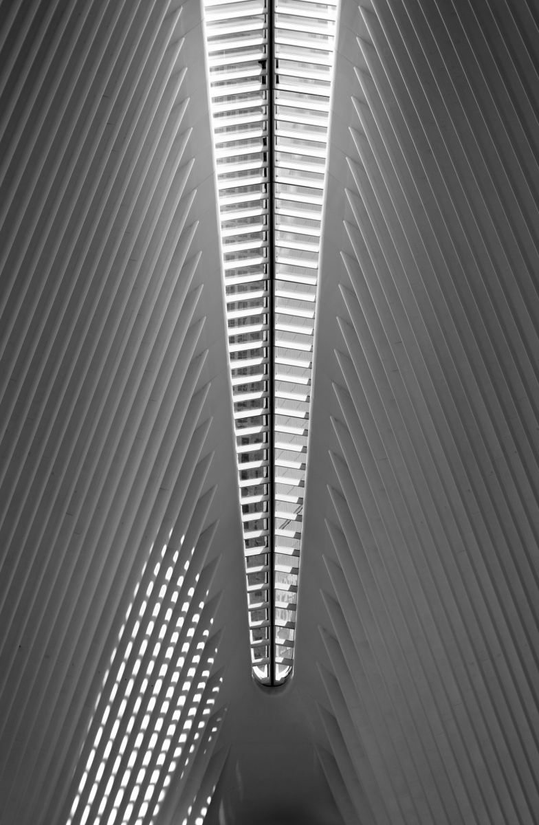 Organic Architecture