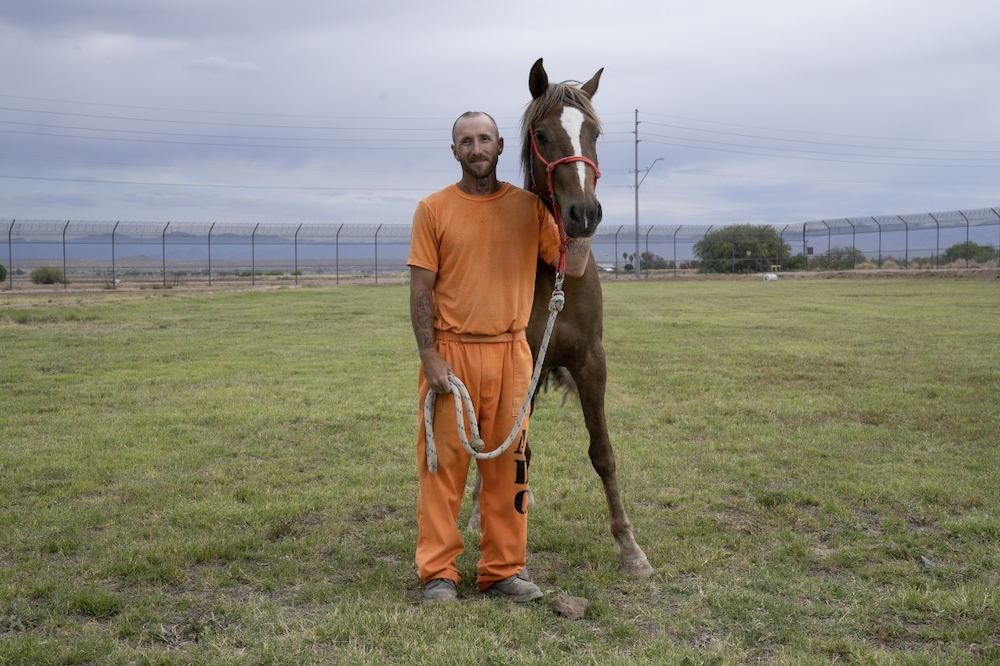 Tamed - the wild horses teaching jailbirds how to tame themselves