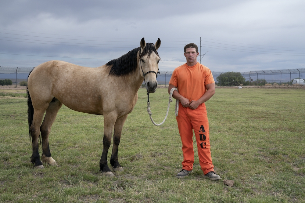 Tamed - the wild horses teaching jailbirds how to tame themselves