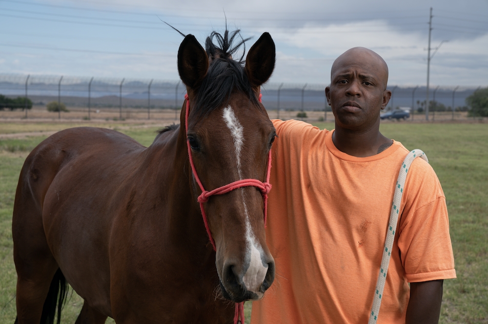 Tamed - the wild horses teaching jailbirds how to tame themselves