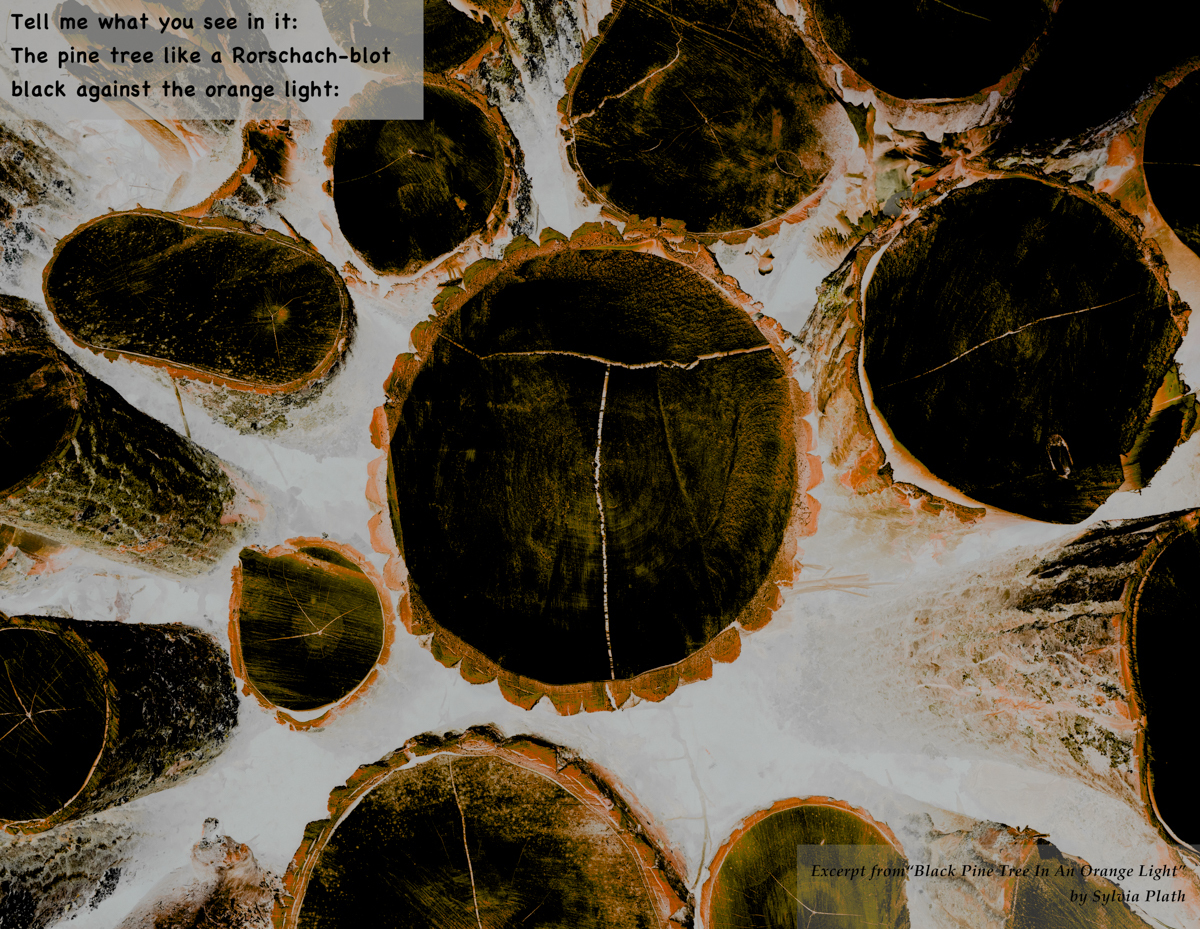 In the Grain of Time