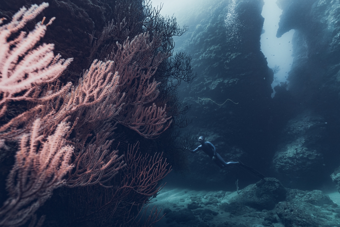 Oceanain