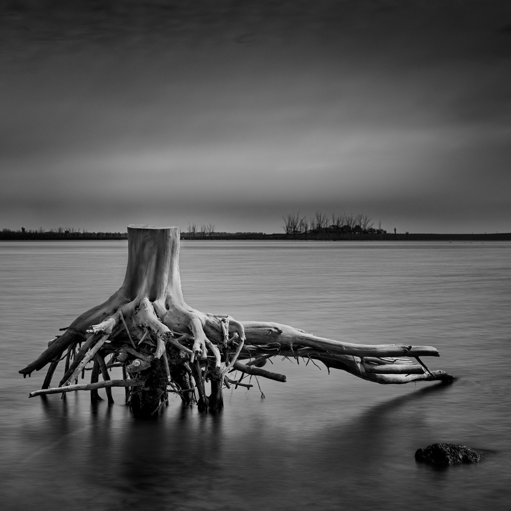Epecuen - Tierra muerta