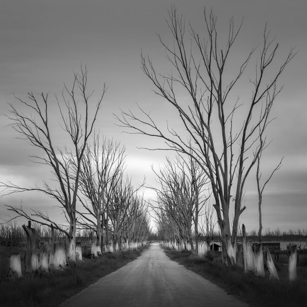 Epecuen - Tierra muerta