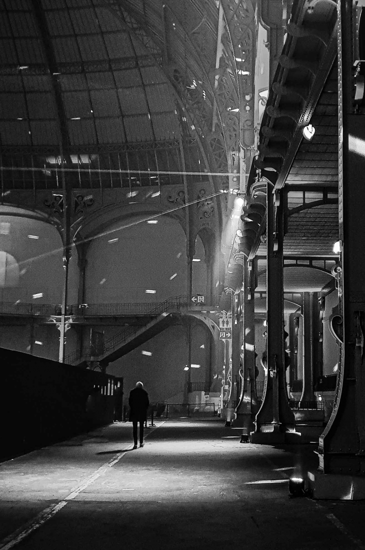 Le Grand Palais paré de lumière. 