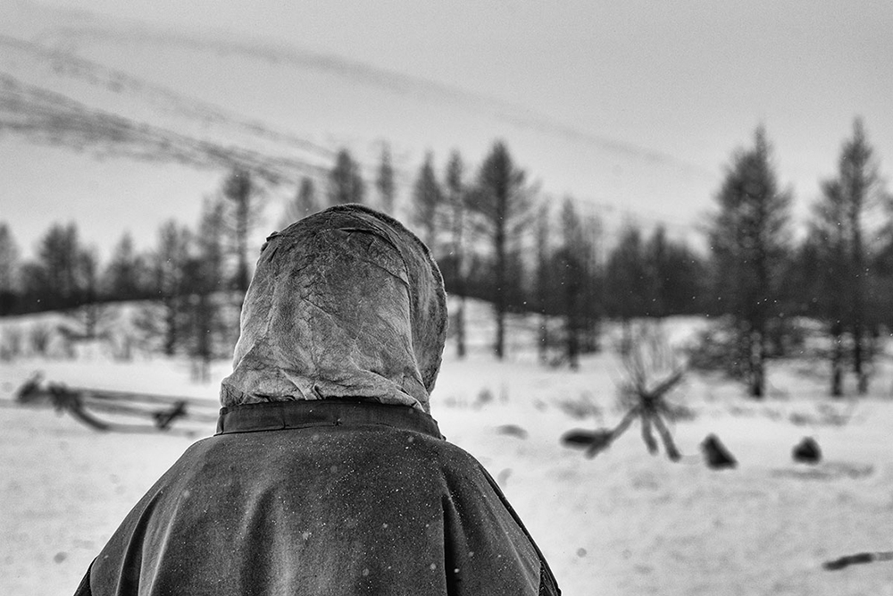 Nenets, The Reindeer Herders. The last nomads of the Arctic