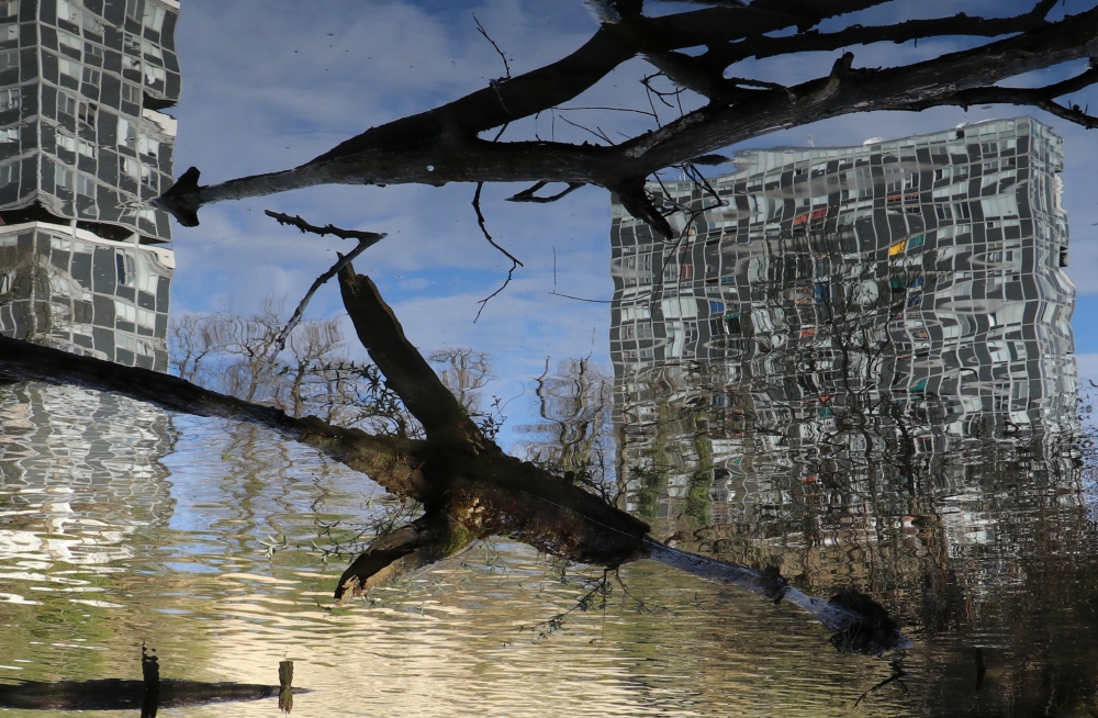 Nature's 9/11 on the Rhône River