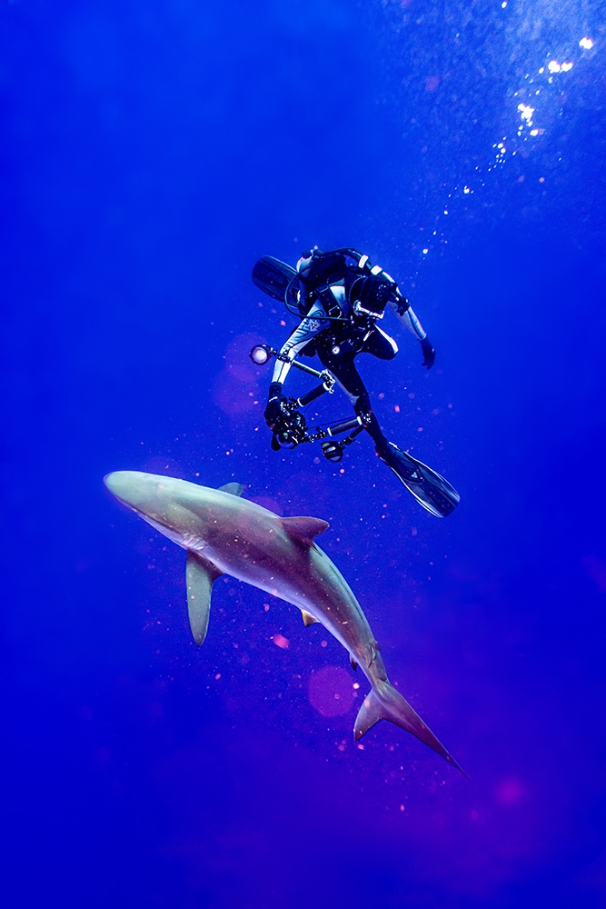 The Silky Photographer