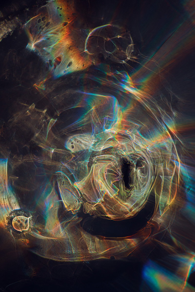 Open Universes