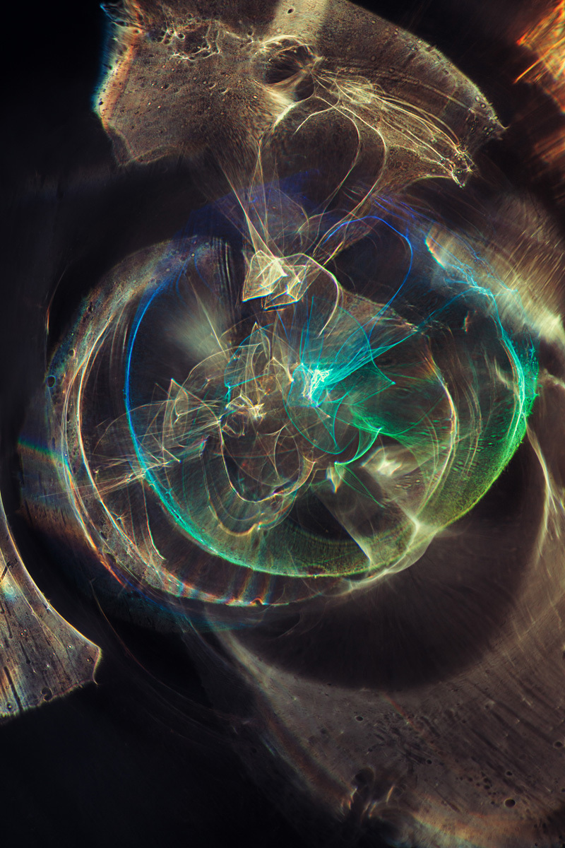 Open Universes