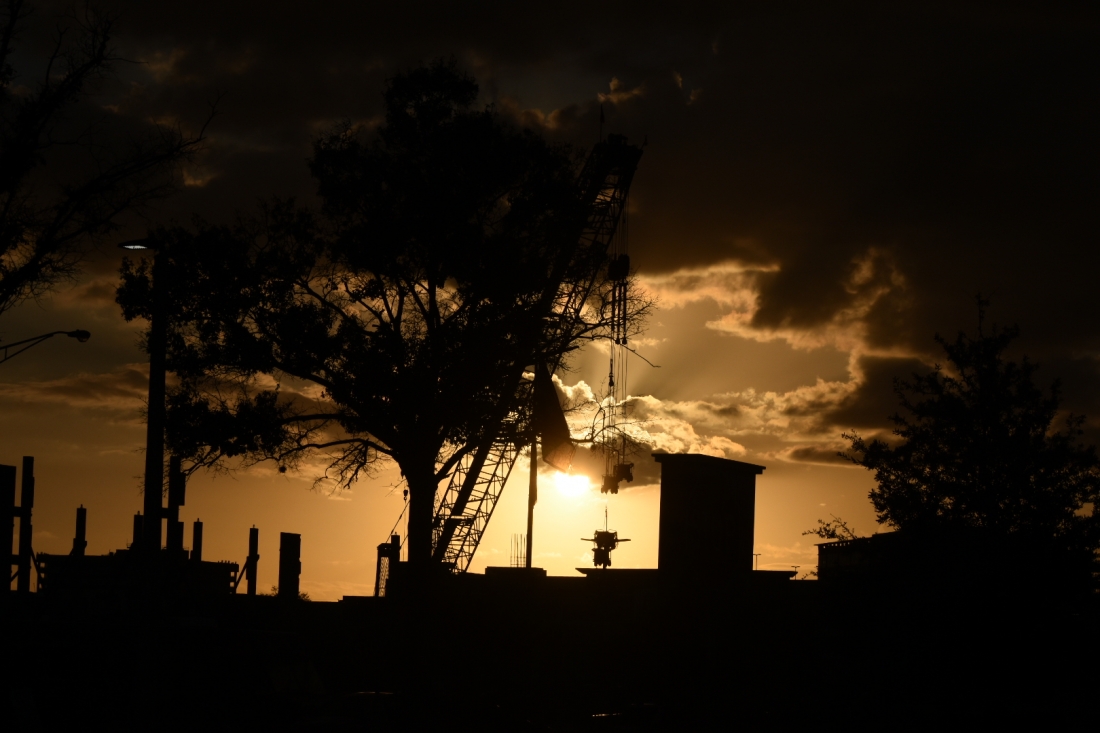 The Amber Shadows  of Man.