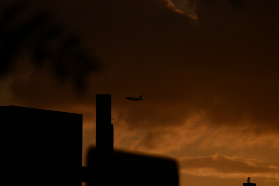 The Amber Shadows  of Man.