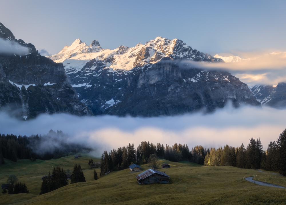 Low Mist