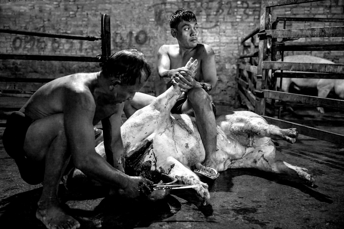 MEAT