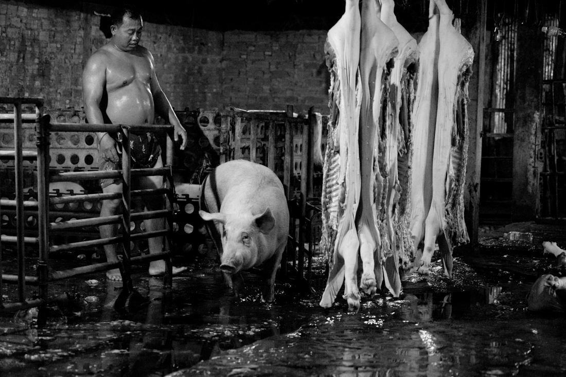 MEAT
