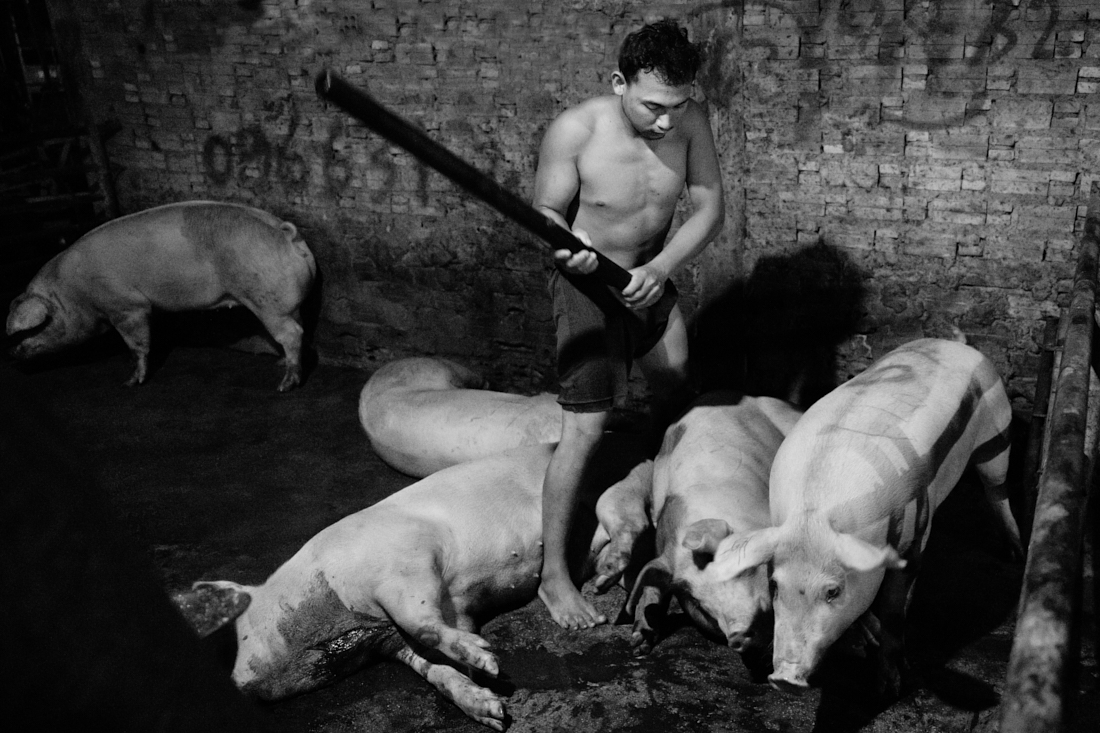 MEAT