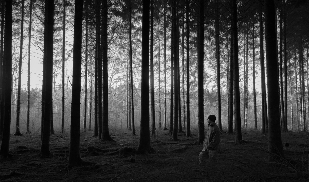 Facing the trees