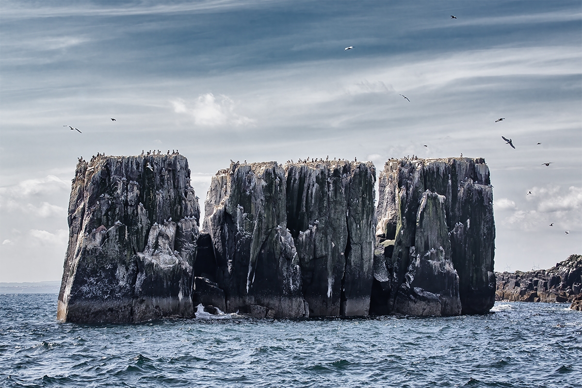 Farne Island Towers