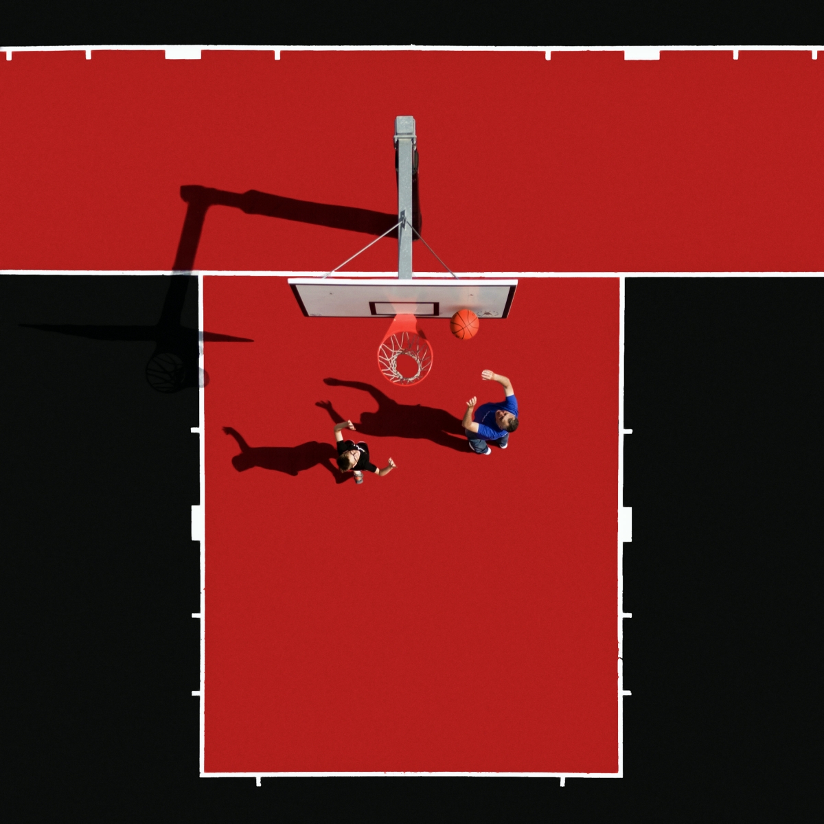 Sport. Colors & Shades