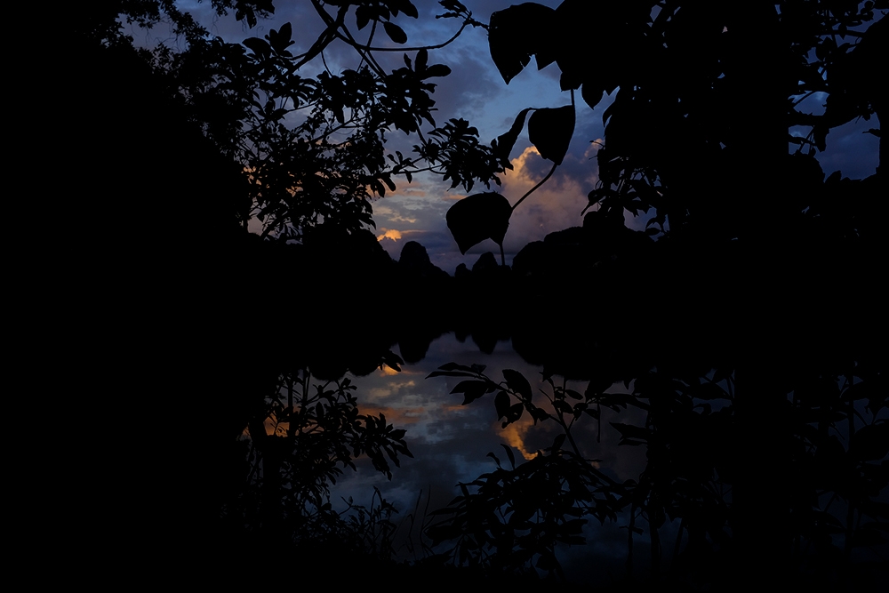 Blue Nature