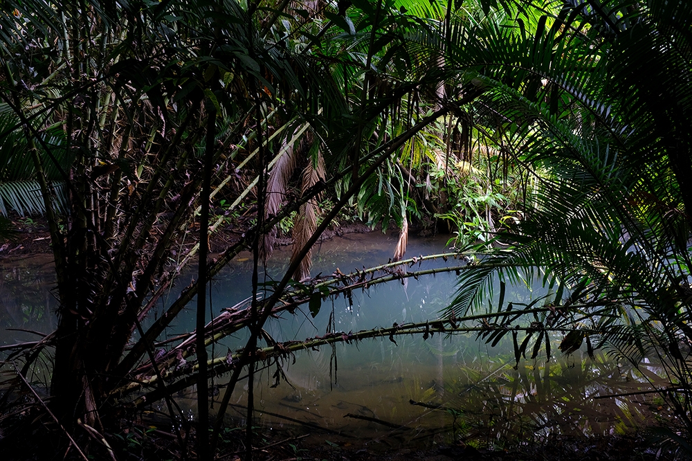 Blue Nature