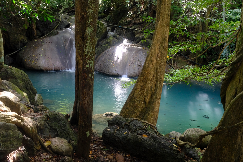 Blue Nature