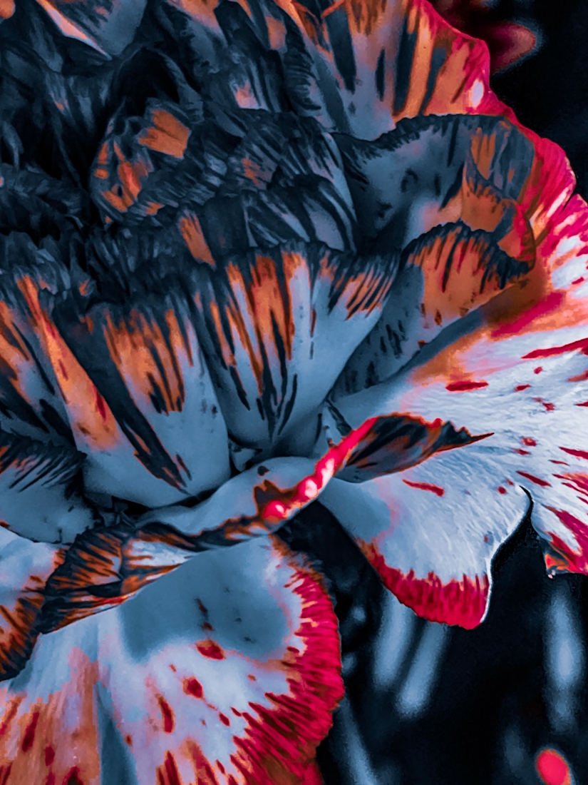 Awareness Blooms