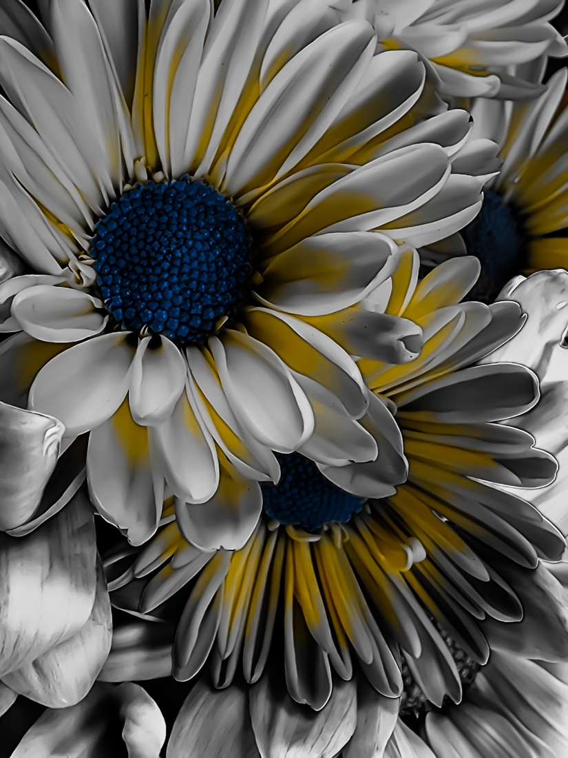 Awareness Blooms