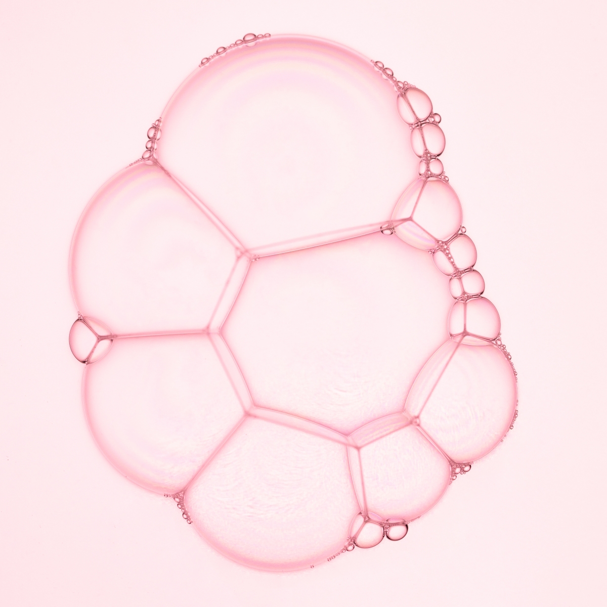 Connection