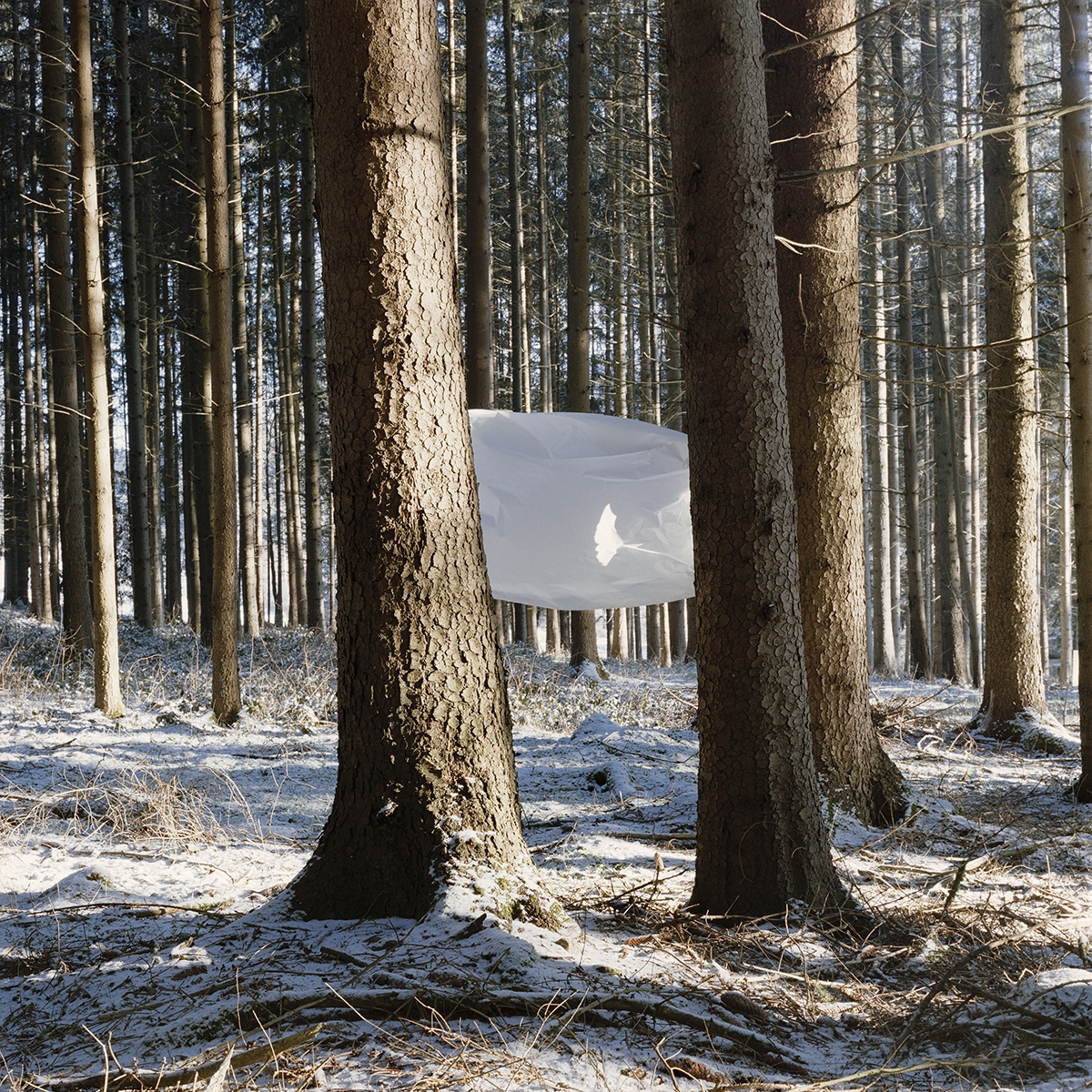 Feldstudien (field studies)
