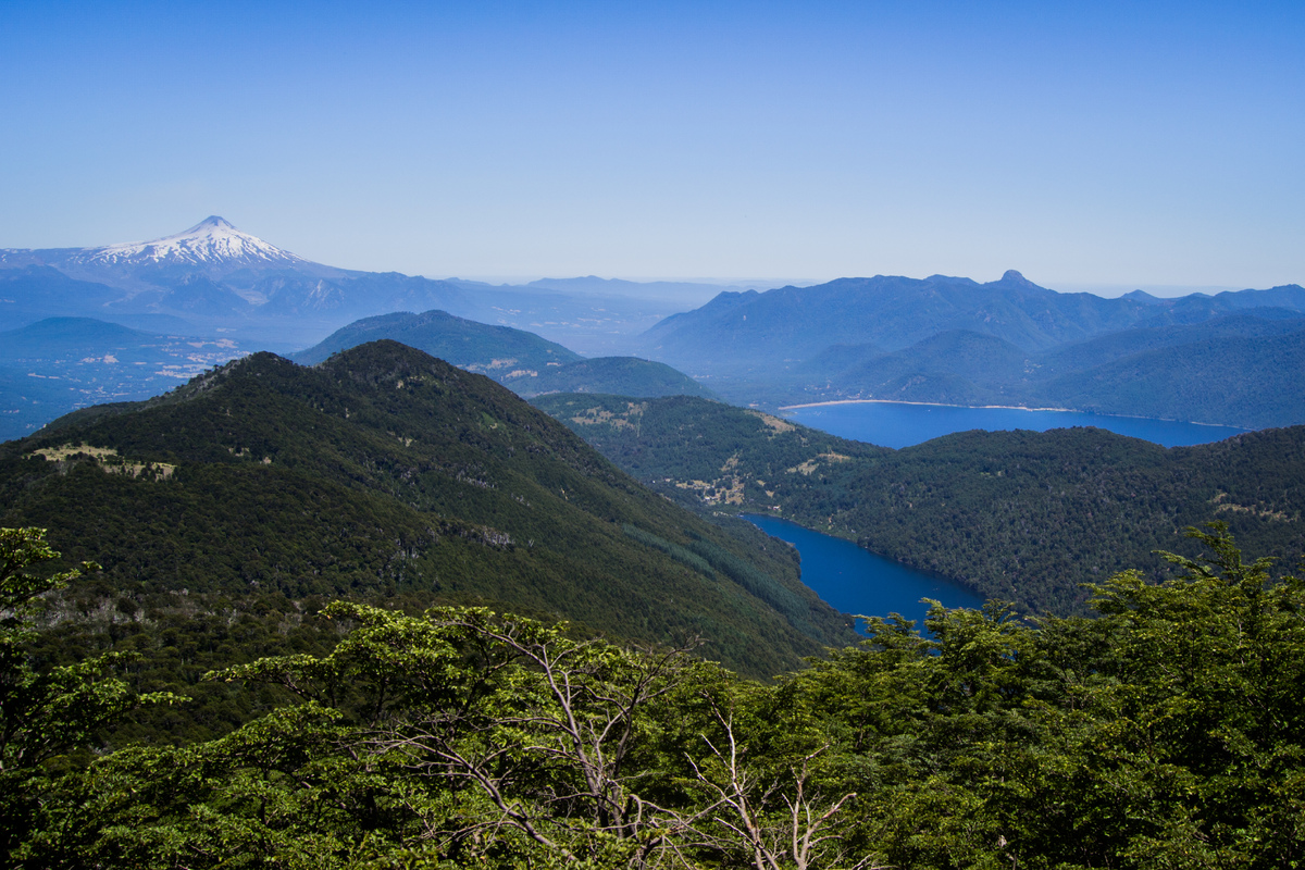 Weichán - The struggle of the Mapuche people in southern Chile