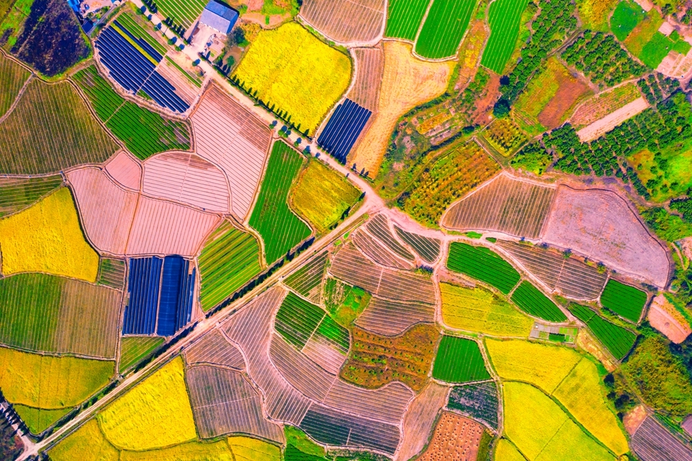 colorful farmland