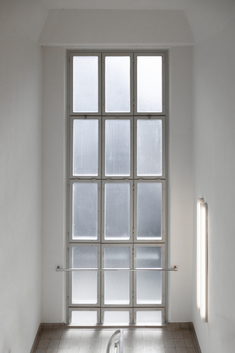 Fenster