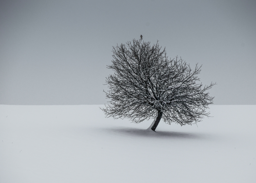 silence